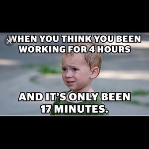 Meet your Posher, Bentley